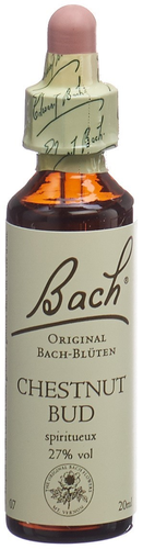 BACH-BLTEN Original Chestnut Bud No07 20 ml
