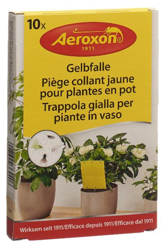 AEROXON Gelbfalle fr Topfpflanzen 10 Stk