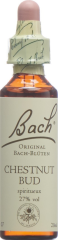 BACH-BLÜTEN Original Chestnut Bud No07 20 ml