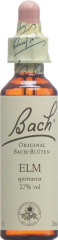 BACH-BLÜTEN Original Elm No11 20 ml