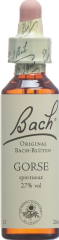 BACH-BLÜTEN Original Gorse No13 20 ml
