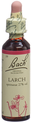 BACH-BLÜTEN Original Larch No19 20 ml