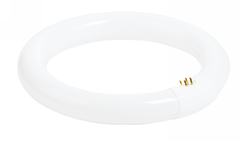 Kaltlichtringröhre zu Lupenlampe Standart