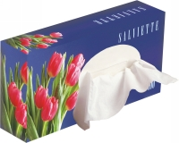 Kosmetiktücher 2-lagig