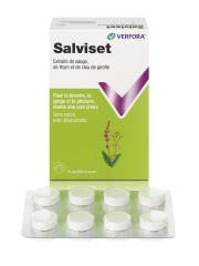 SALVISET Pastillen 24 Stk