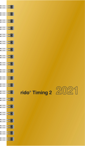 RIDOIDE Timing 2 Chromolux 7014121911.21 9.3x17.2cm 1W/2S, altgold