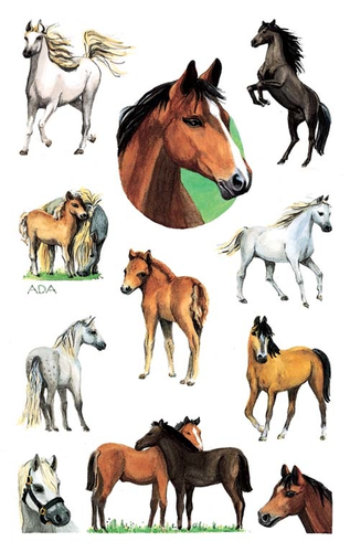 Z-DESIGN Sticker Kids 53483 Bauernhoftiere 2 Stck