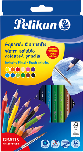 PELIKAN Aquarellstifte mit Pinsel 700672 12 Farben