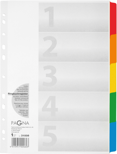 PAGNA Register Karton A4 31000-08 weiss 5-teilig