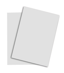 PAPYRUS Rainbow Papier FSC A4 88043146 hellgrau, 160g 250...