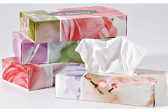 QUALITY Kosmetiktücher 992821 2-lagig 4x100 Stück