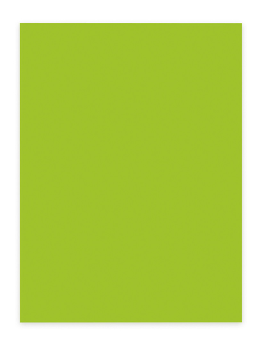 ELCO Office Color Papier A4 74616.62 80g, grn 100 Blatt