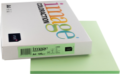 ANTALIS Universal Papier A4 266689 120g, forest 250 Blatt