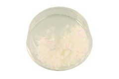 Lochstern weiss pearl