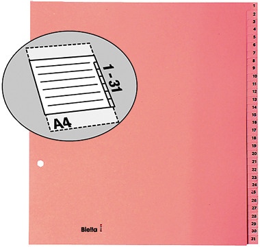 BIELLA Register Karton braun A4 19443100 1-31