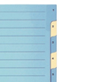 BIELLA Register Karton farbig A4 462440.00 1-10
