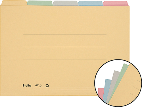 BIELLA Registermappe A4 325432.00 farbig assort., 190 Bl. 5 Stk.