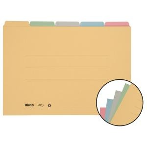 BIELLA Registermappe A4 325432.00 farbig assort., 190 Bl. 5 Stk.