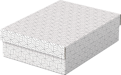 ESSELTE Aufbewahrungsboxen Home M 628284 365x265x100mm,...