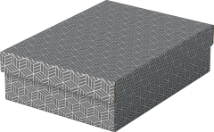 ESSELTE Aufbewahrungsboxen Home M 628285 365x265x100mm,...