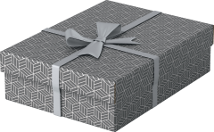 ESSELTE Aufbewahrungsboxen Home M 628285 365x265x100mm,...