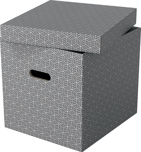 ESSELTE Aufbewahrungsboxen Home Cube 628289 365x320x315mm, grau 3 Stk