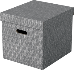 ESSELTE Aufbewahrungsboxen Home Cube 628289...