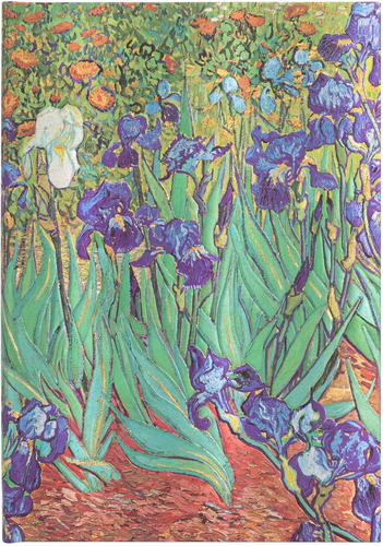PAPERBLANKS Notizbuch Van Goghs Midi PB8204-0 liniert, 144 S., bunt