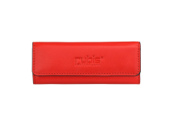 Rubis Pinzette Shiny mit Etui, schräg, silber