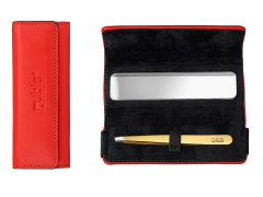 Rubis Pinzette Shiny mit Etui, schräg, gold