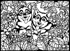 TATARUGA Samtbild A4 S5 Huskys