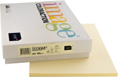 IMAGE COLORACTION Kopierpapier Atoll A4 159.963 80g,...