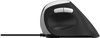 RAPOO EV200 Vertical Mouse 13532 wired