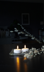 STAR TRADING LED Teelicht Flamme 5.8cm 12.063-06 weiss 2...