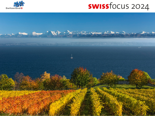 SIMPLEX Swiss Focus 61234.24 2024
