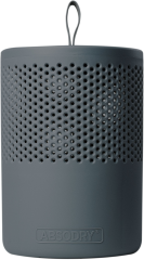 ABSODRY Luftentfeuchter Duo Family 456.85959100 grau