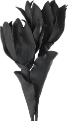 EGLO Kunstblume MOLAVE 428122 schwarz