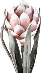 EGLO Kunstblume MOLAVE 428126 rosa