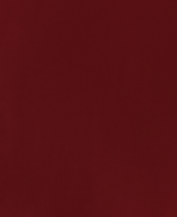 MAREIN Tonpapier 50x70cm MPA2901208328 120g, rubinrot