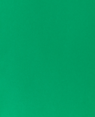 MAREIN Tonpapier A4 MPA2903008327 120g, tannengrün