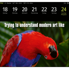 HARENBERG Postkartenkalender 2025 3310183+25 Animal Memes...