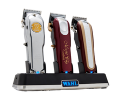 Wahl Power Station Multi-Charge