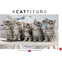 HEYE Bildkalender 2026 1130+26 Whiskas Katzen DE 45x30cm