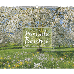 DUMONT Bildkalender 2026 260364 Bäume ML 58.4x48.5cm