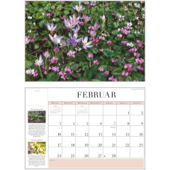 DUMONT Bildkalender 2026 260371 Garten-Kalender DE 42x29cm
