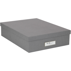 BIGSO BOX OF SWEDEN Aufbewahrungsbox Oskar 945154141 grau...