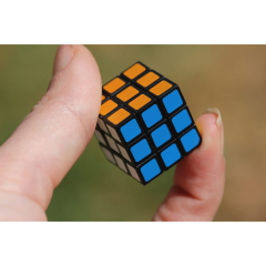WORLDS SMALLEST Rubiks 1180.00514
