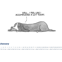 ALPHA EDITION Bildkalender 2026 160927 Cats Life &...