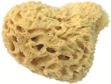 Herba Echter Naturschwamm, Ø 11 cm