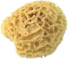 Herba Echter Naturschwamm, Ø 15 cm